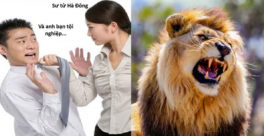 Hổ Đến Chơi Nhà Chapter 152 - Next 
