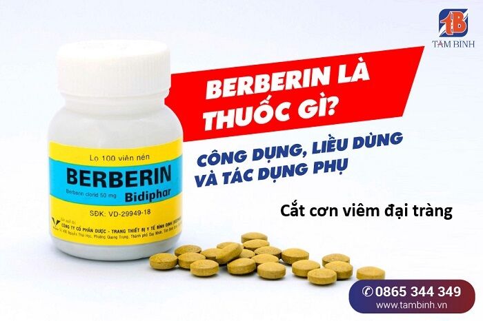 Hổ Đến Chơi Nhà Chapter 153 - Trang 3