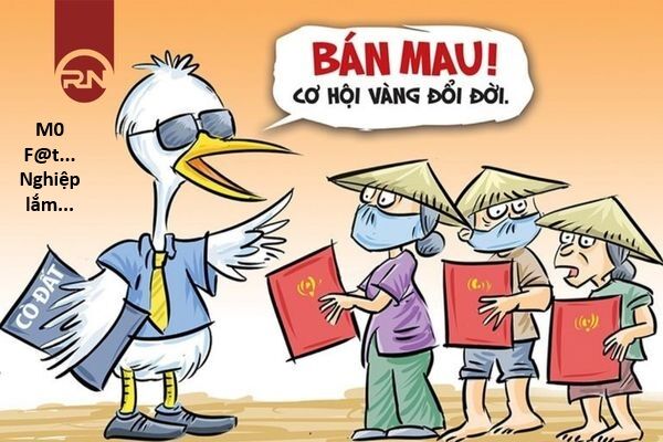 Hổ Đến Chơi Nhà Chapter 165 - Trang 2