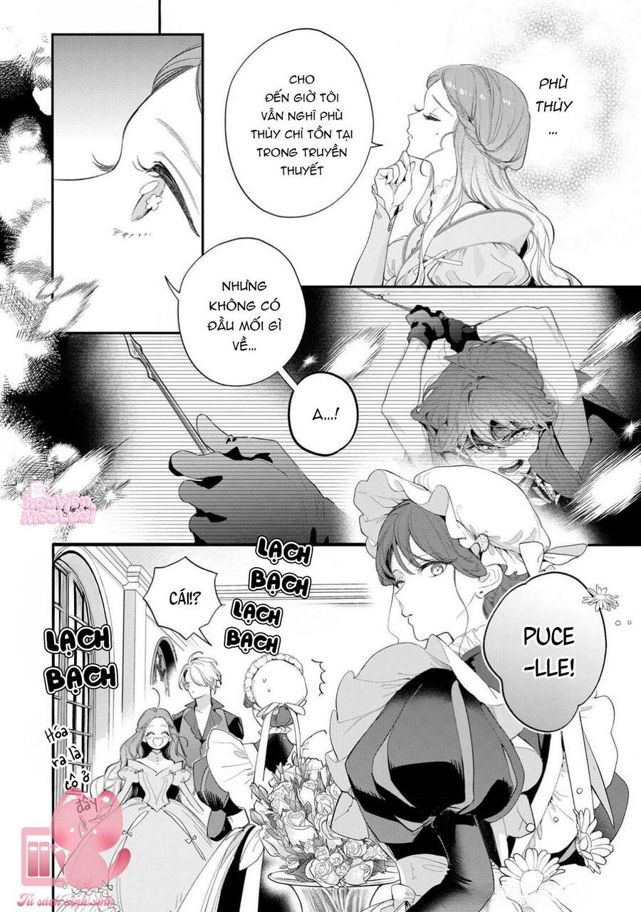 Hoa Hồng Ẩn Giấu Sao Băng Chapter 16 - Trang 2