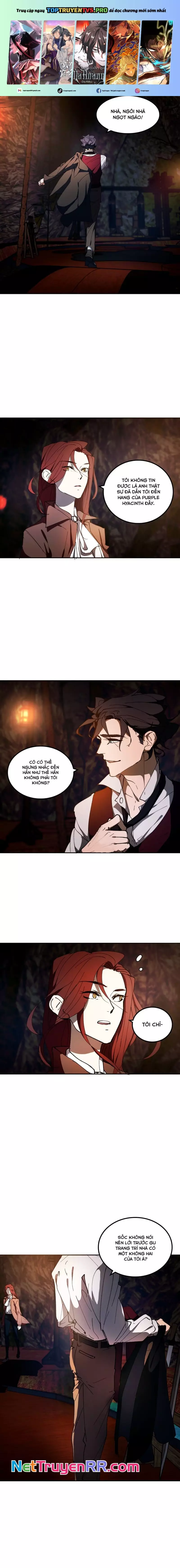 Hoa Lục Bình Tím Chapter 11.1 - Trang 3