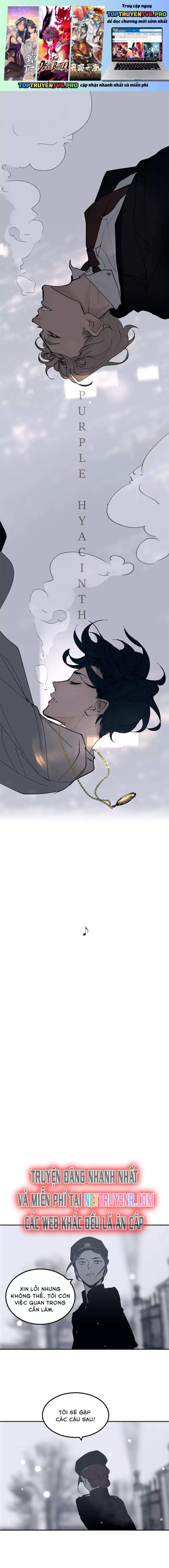 Hoa Lục Bình Tím Chapter 40 - Trang 2