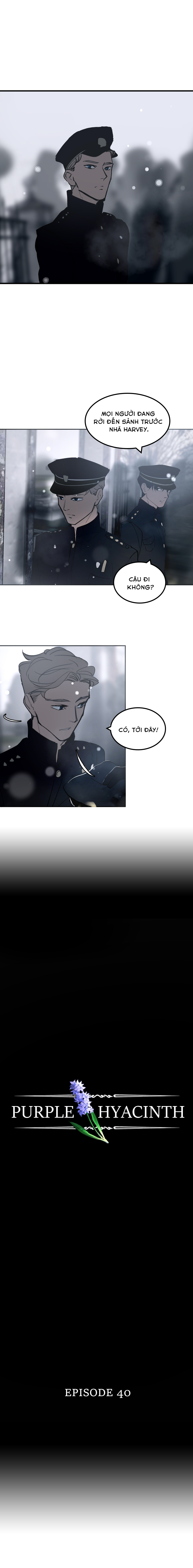 Hoa Lục Bình Tím Chapter 40 - Trang 2