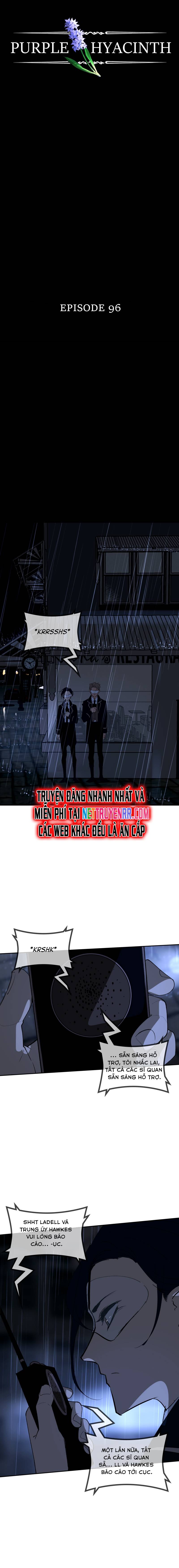 Hoa Lục Bình Tím Chapter 96 - Trang 3