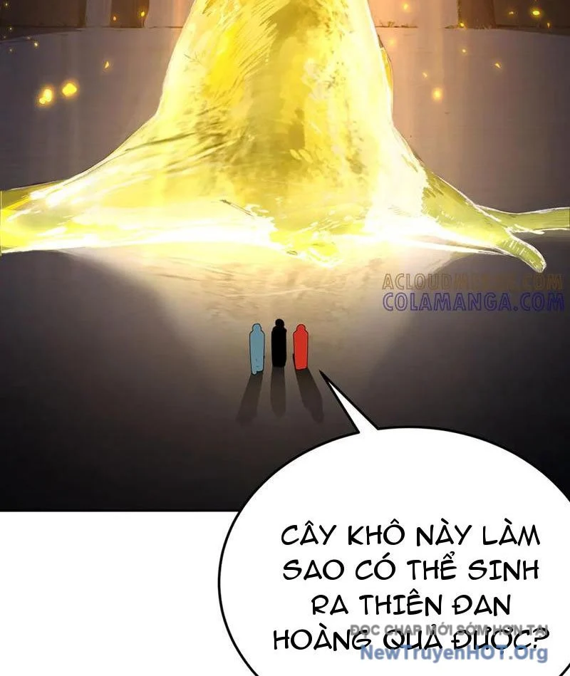 Hóa Ra Các Cô Ấy Mới Là Nhân Vật Chính Chapter 105 - Trang 3