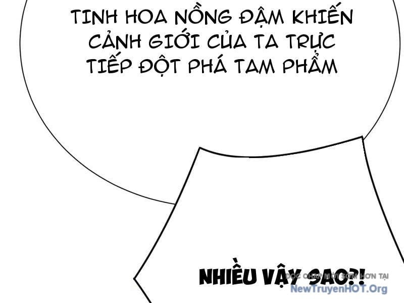 Hóa Ra Các Cô Ấy Mới Là Nhân Vật Chính Chapter 113 - Trang 3