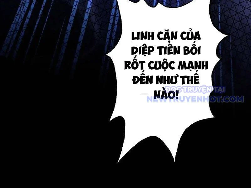 hoá ra ta đã vô địch từ lâu Chapter 241 - Next 