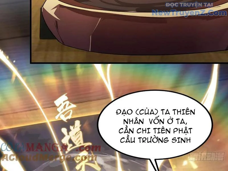 Hoá Ra Ta Đã Vô Địch Từ Lâu Chapter 293 - Trang 2