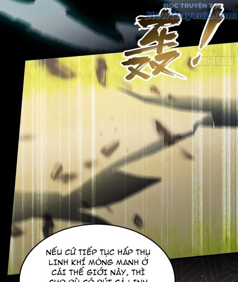 Hoá Ra Ta Đã Vô Địch Từ Lâu Chapter 297 - Trang 2