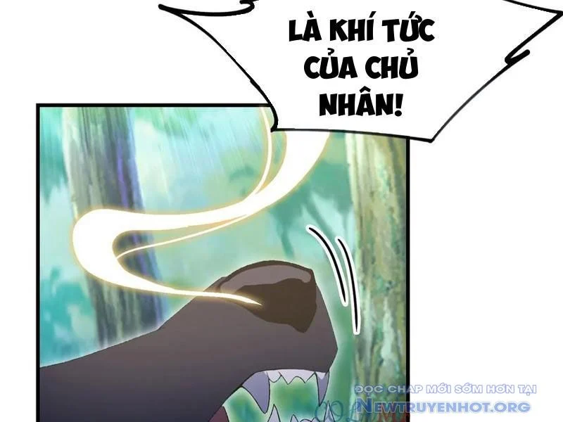 Hoá Ra Ta Đã Vô Địch Từ Lâu Chapter 301 - Trang 3