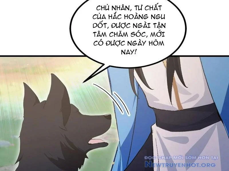 Hoá Ra Ta Đã Vô Địch Từ Lâu Chapter 302 - Trang 3