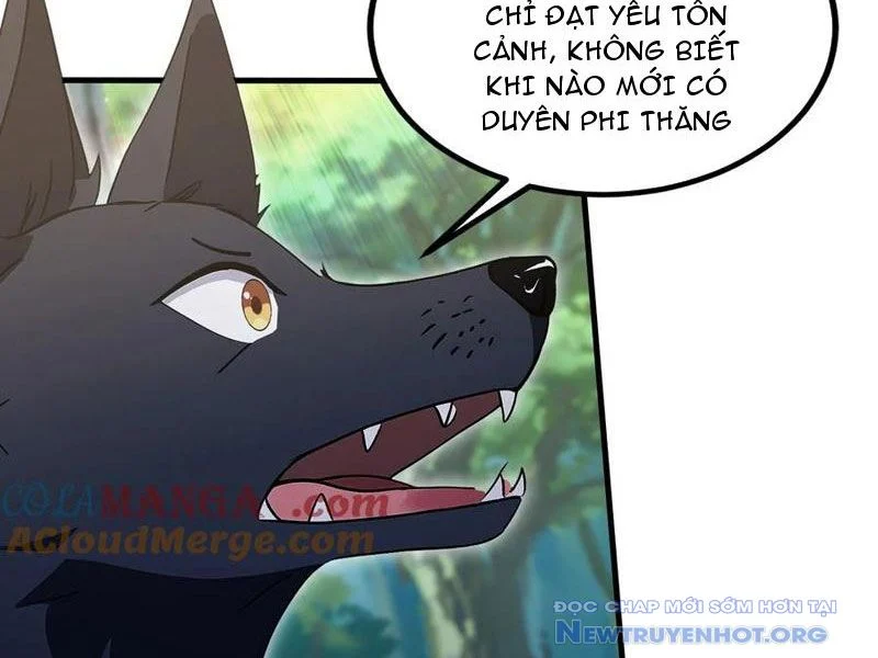 Hoá Ra Ta Đã Vô Địch Từ Lâu Chapter 302 - Trang 3