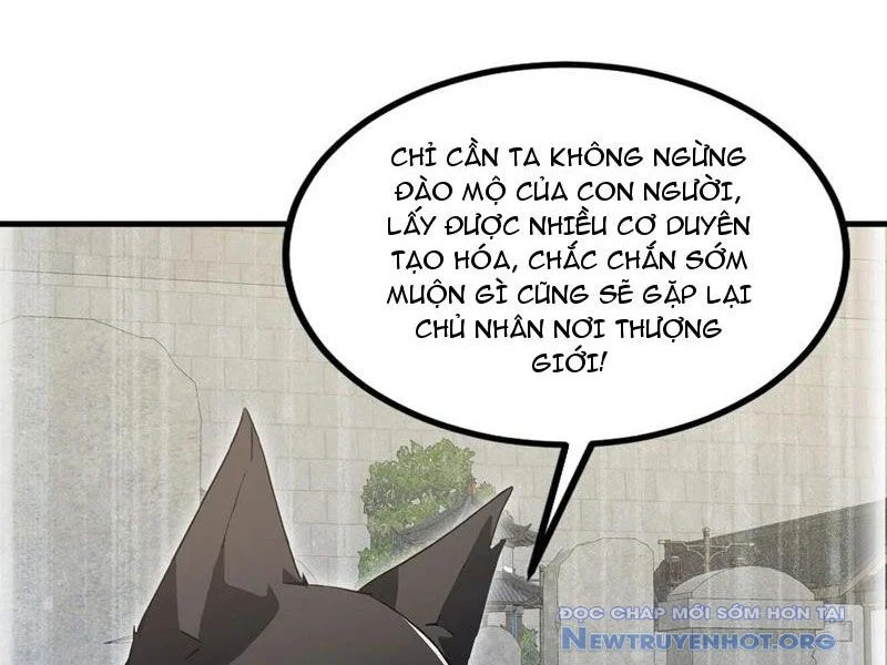 Hoá Ra Ta Đã Vô Địch Từ Lâu Chapter 302 - Trang 3