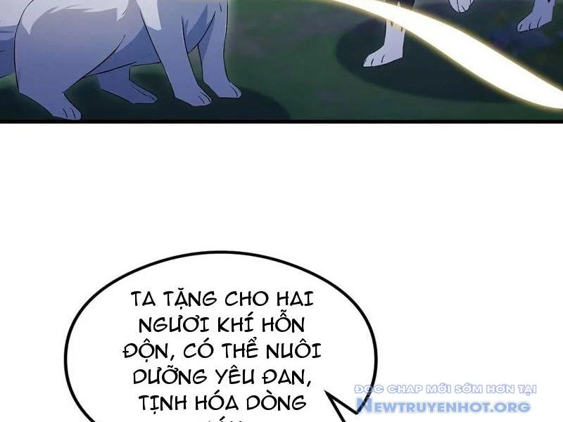 Hoá Ra Ta Đã Vô Địch Từ Lâu Chapter 302 - Trang 3