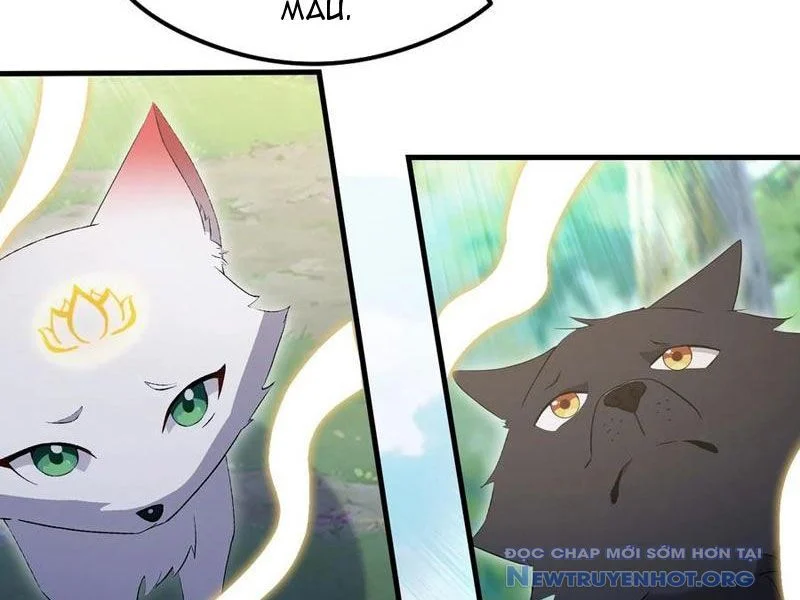 Hoá Ra Ta Đã Vô Địch Từ Lâu Chapter 302 - Trang 3