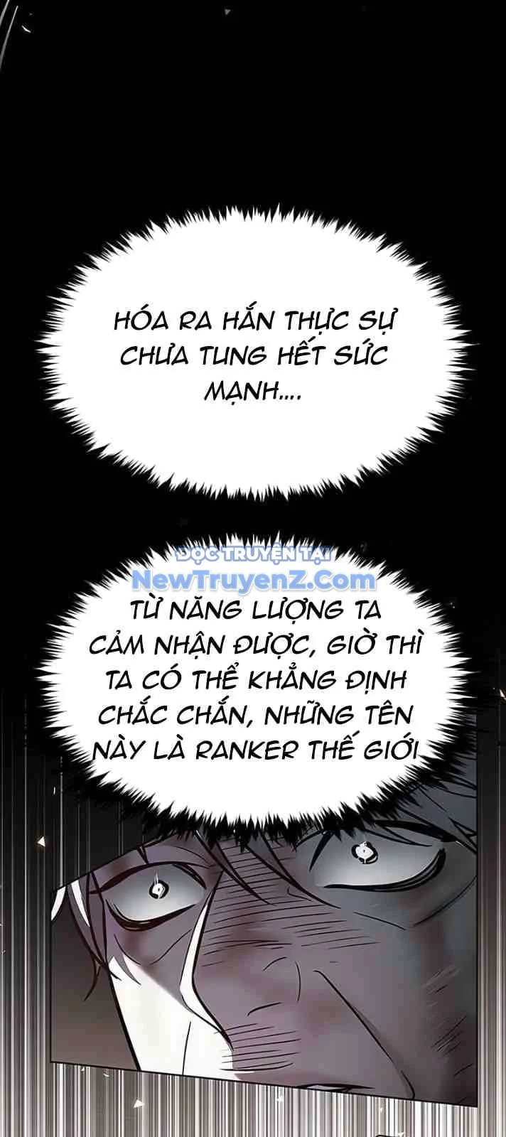 Hóa Thân Thành Mèo Chapter 351 - Trang 2