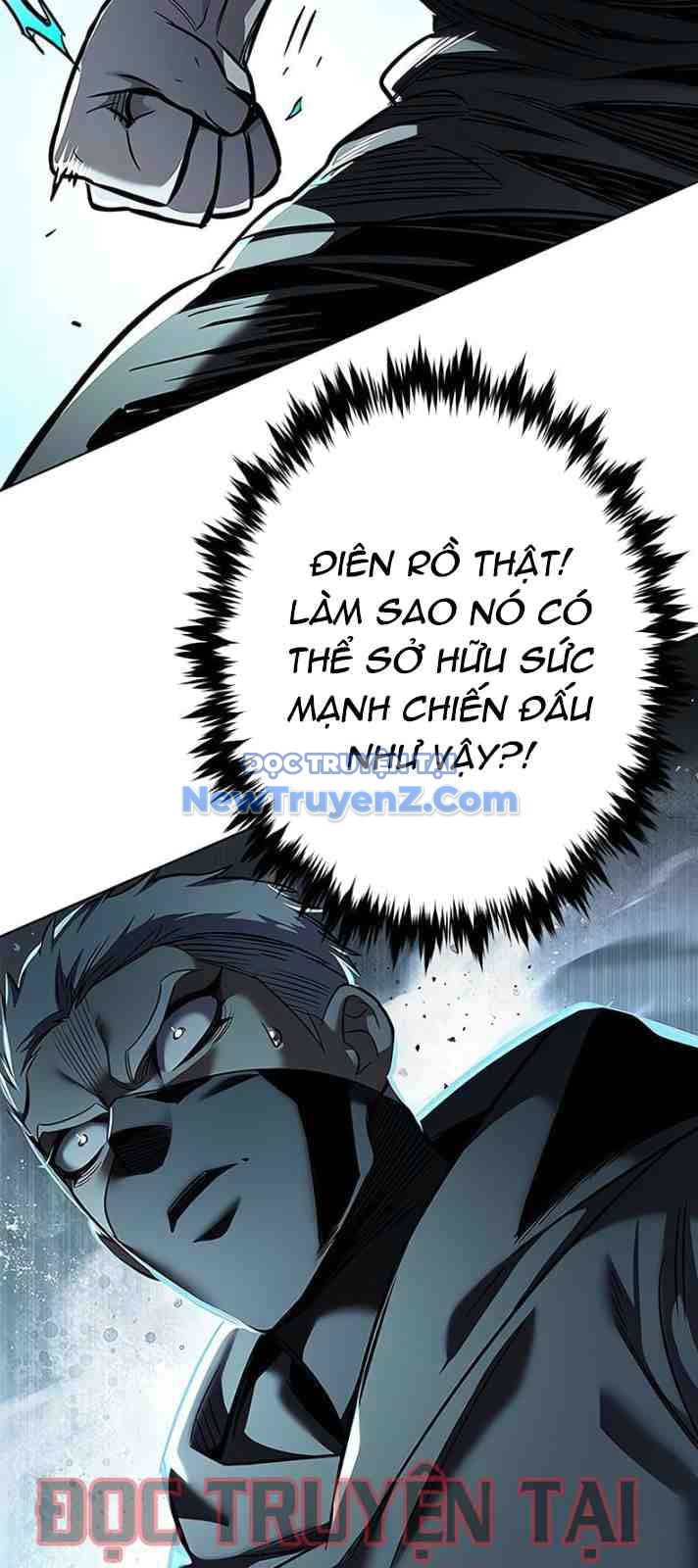 Hóa Thân Thành Mèo Chapter 351 - Trang 2