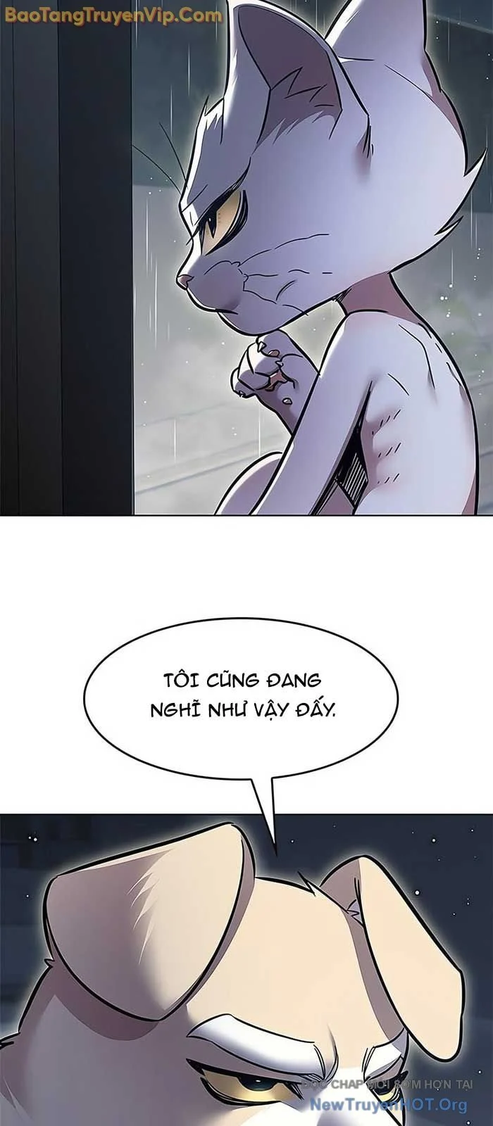 Hoá Thân Thành Mèo Chapter 357 - Next 