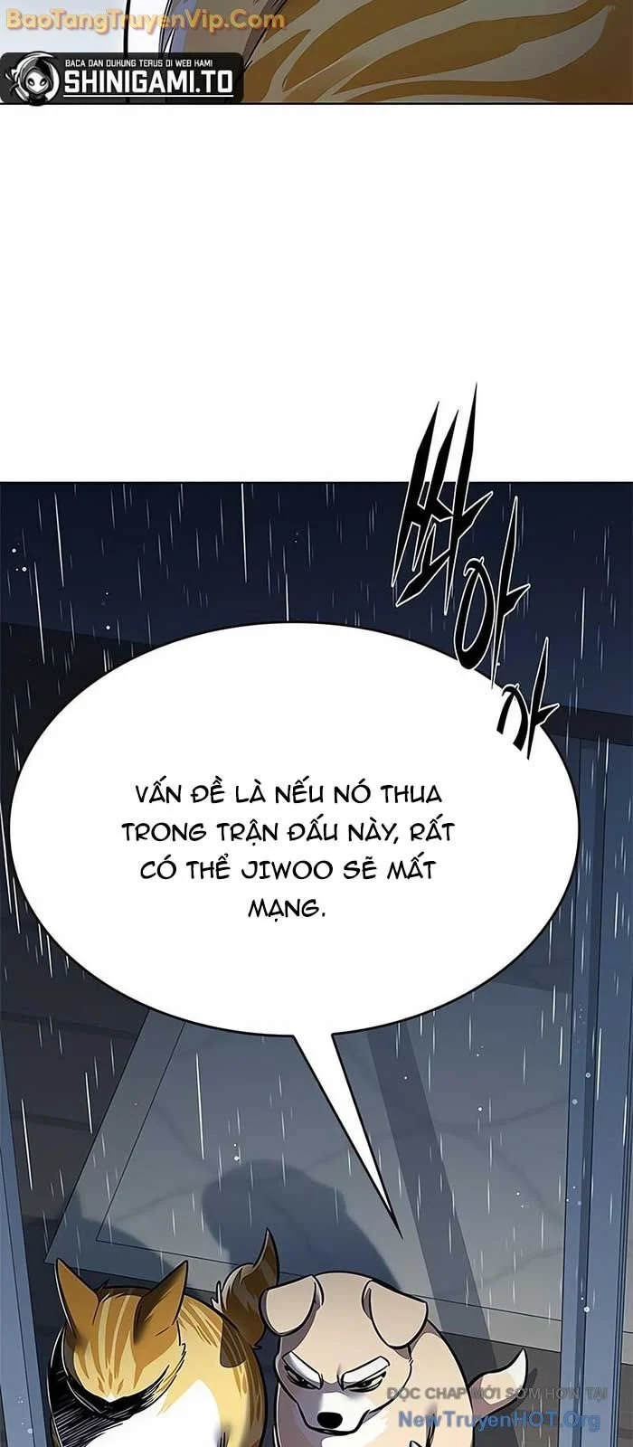 Hoá Thân Thành Mèo Chapter 357 - Next 