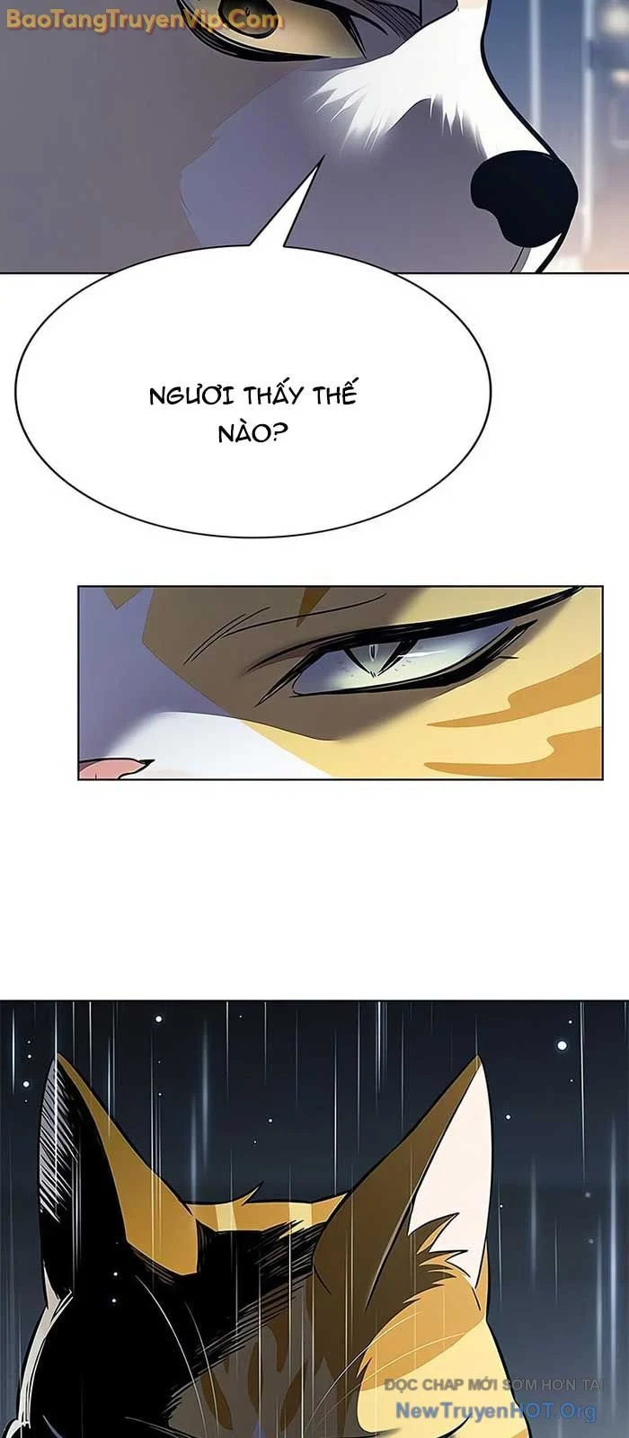 Hoá Thân Thành Mèo Chapter 357 - Next 