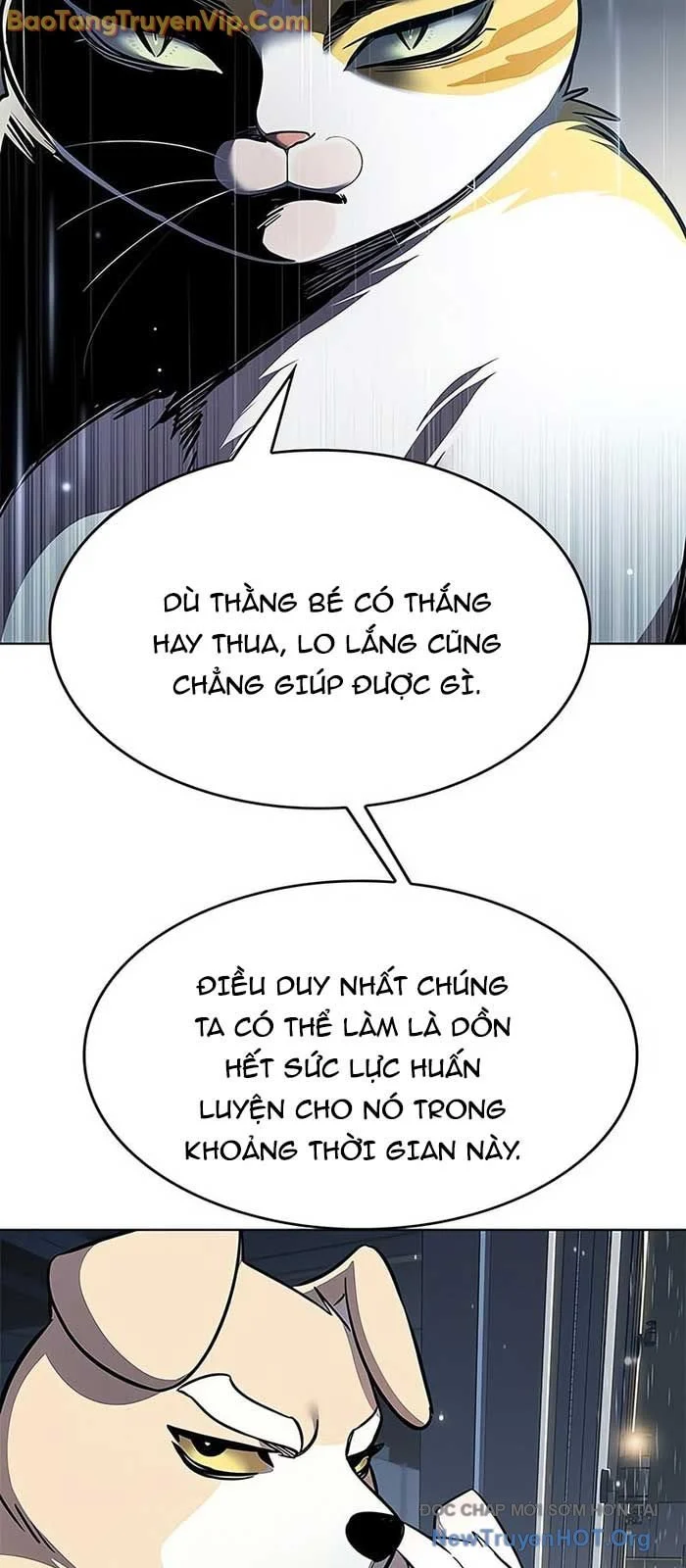 Hoá Thân Thành Mèo Chapter 357 - Next 