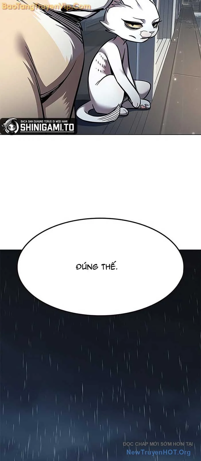 Hoá Thân Thành Mèo Chapter 357 - Next 