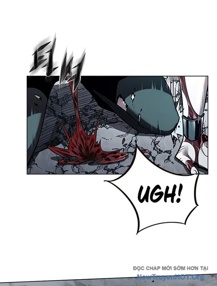 Hoá Thân Thành Mèo Chapter 361 - Next 