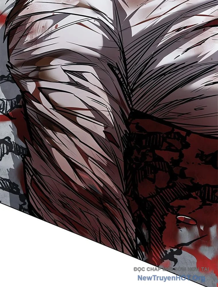 Hoá Thân Thành Mèo Chapter 361 - Next 
