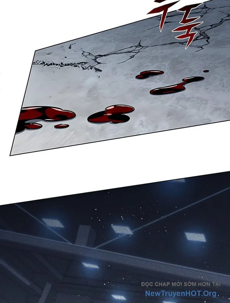 Hoá Thân Thành Mèo Chapter 361 - Next 