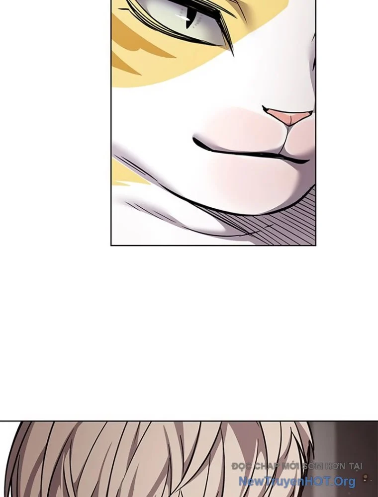 Hoá Thân Thành Mèo Chapter 363 - Next 