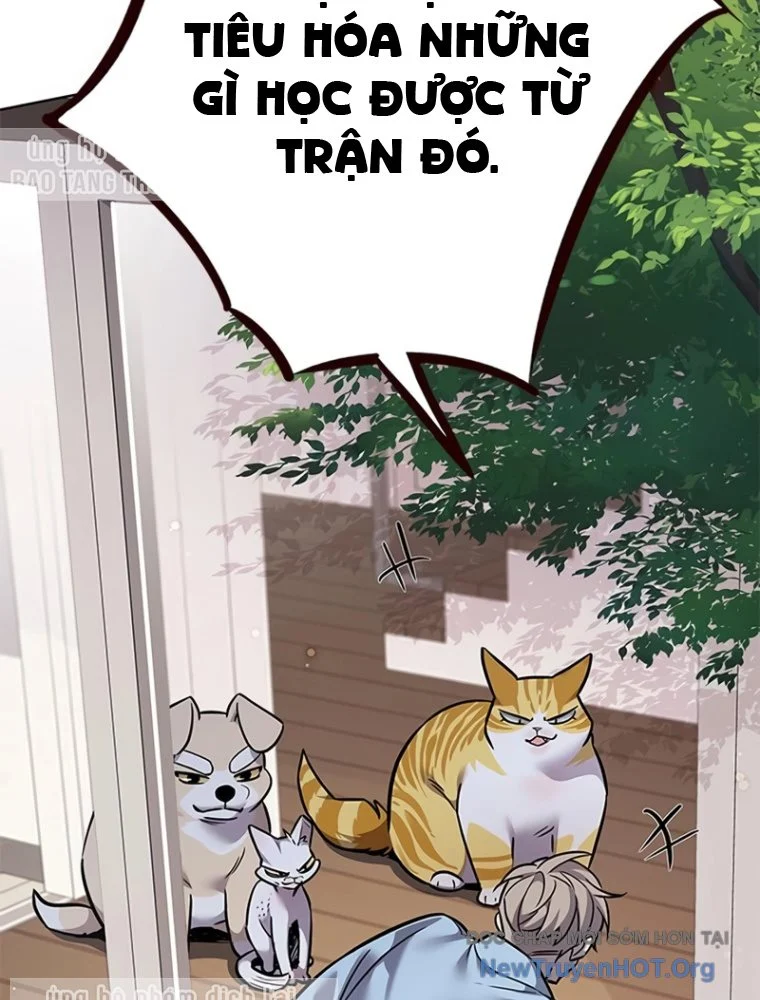 Hoá Thân Thành Mèo Chapter 363 - Next 