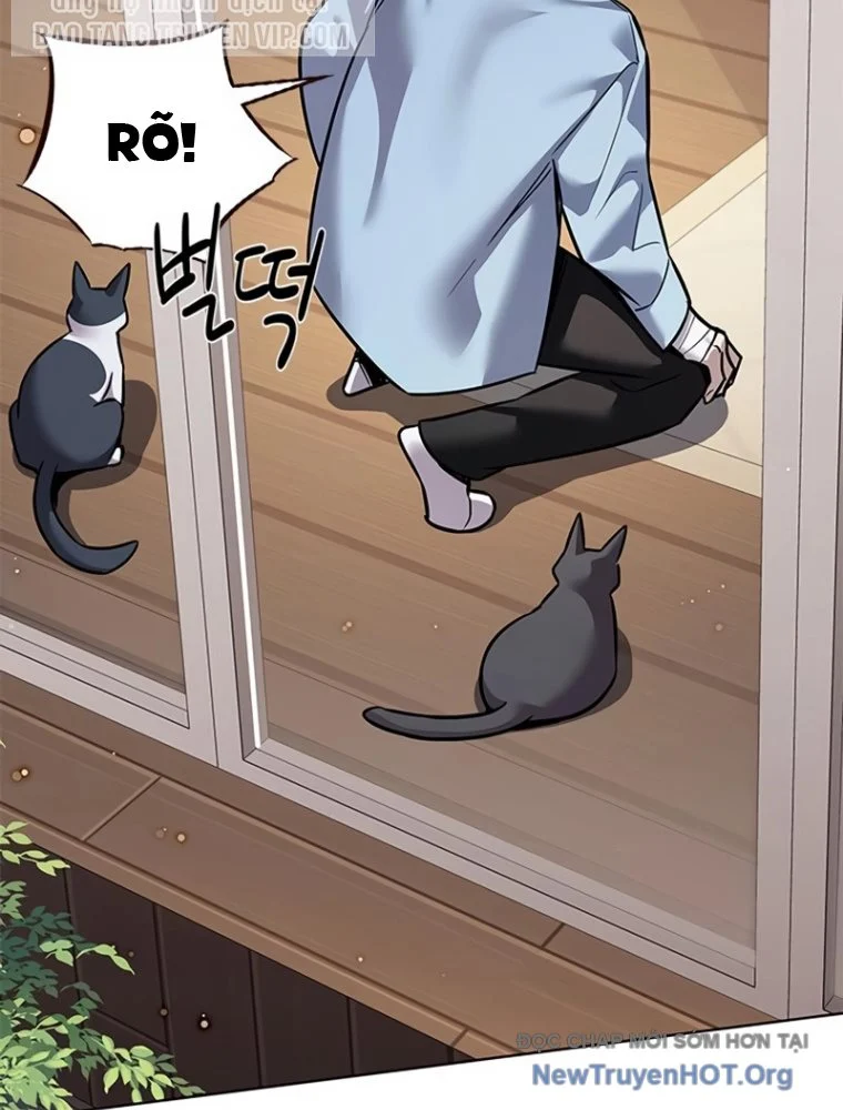 Hoá Thân Thành Mèo Chapter 363 - Next 