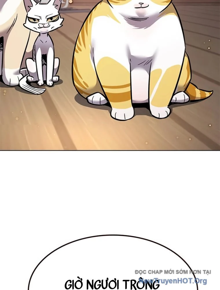 Hoá Thân Thành Mèo Chapter 363 - Next 