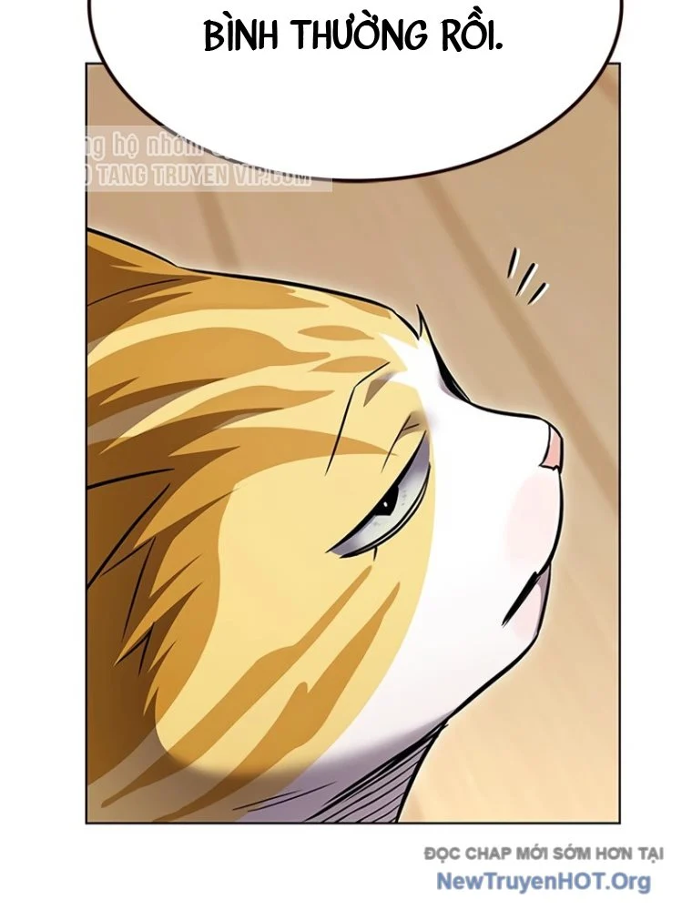 Hoá Thân Thành Mèo Chapter 363 - Next 