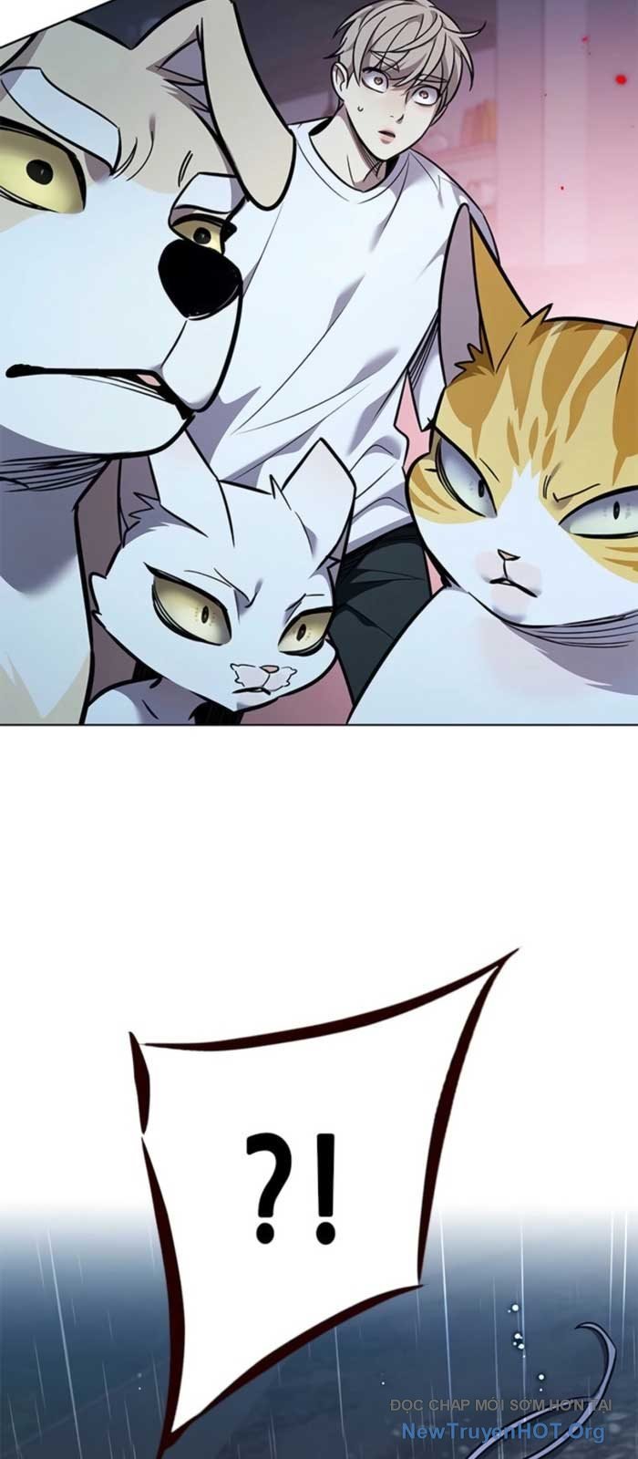 Hoá Thân Thành Mèo Chapter 369 - Trang 2