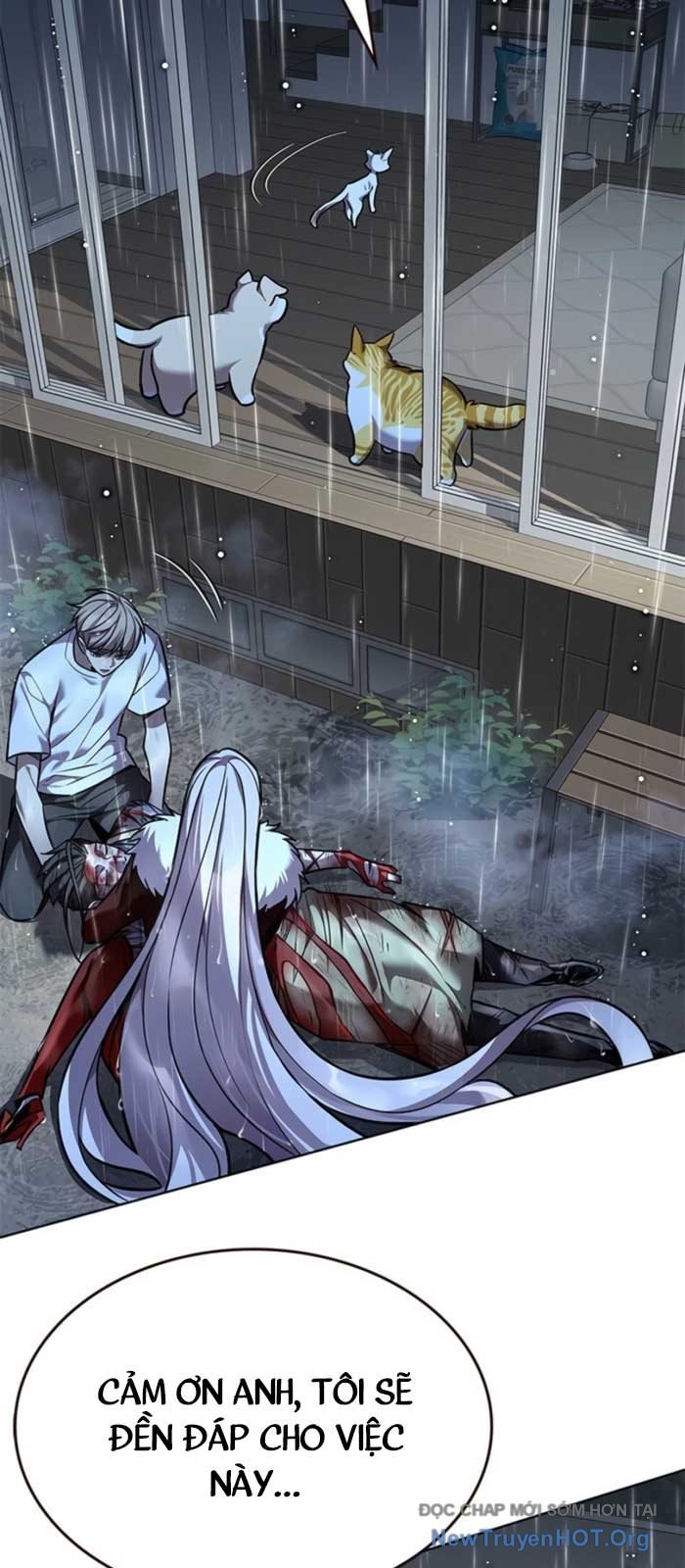 Hoá Thân Thành Mèo Chapter 369 - Trang 2
