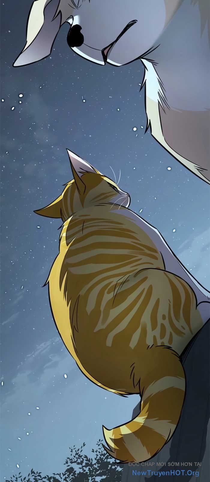 Hoá Thân Thành Mèo Chapter 369 - Trang 2
