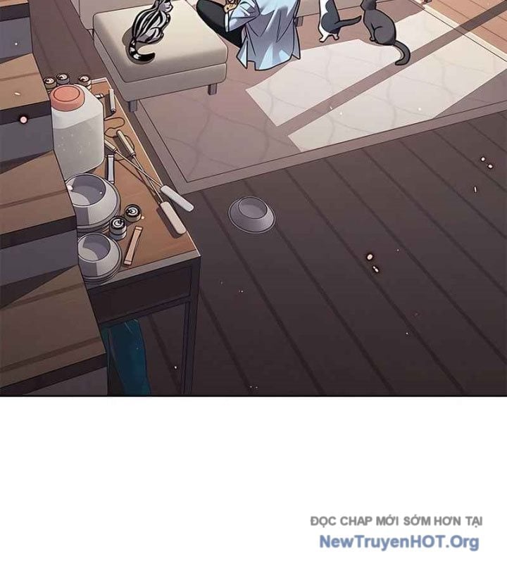 Hoá Thân Thành Mèo Chapter 370 - Next 