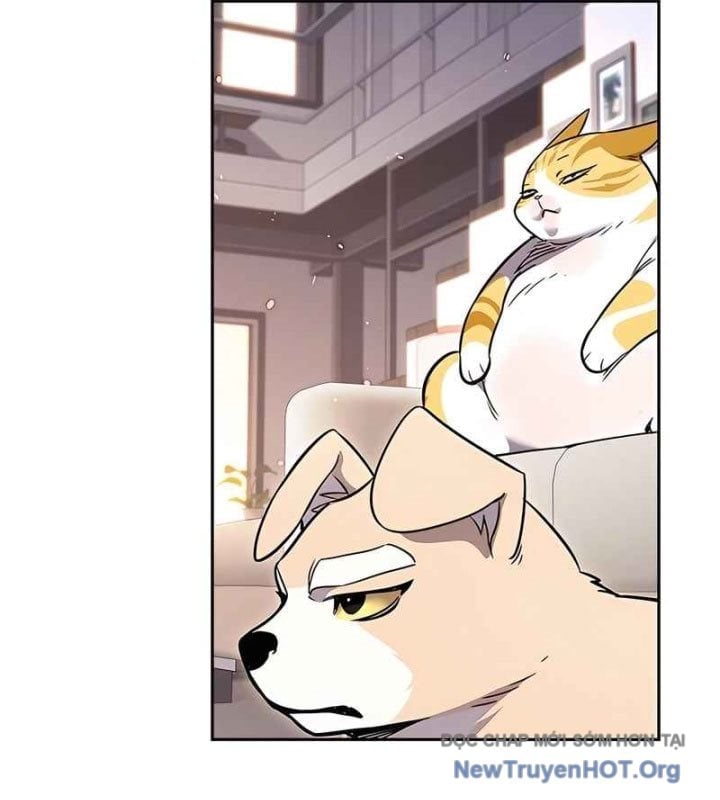 Hoá Thân Thành Mèo Chapter 370 - Next 