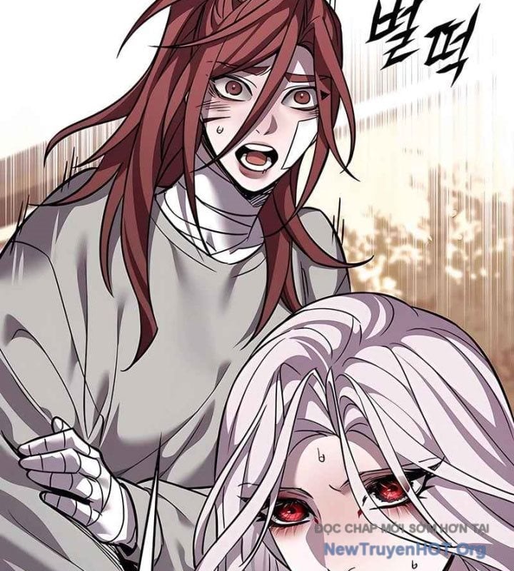 Hoá Thân Thành Mèo Chapter 370 - Next 
