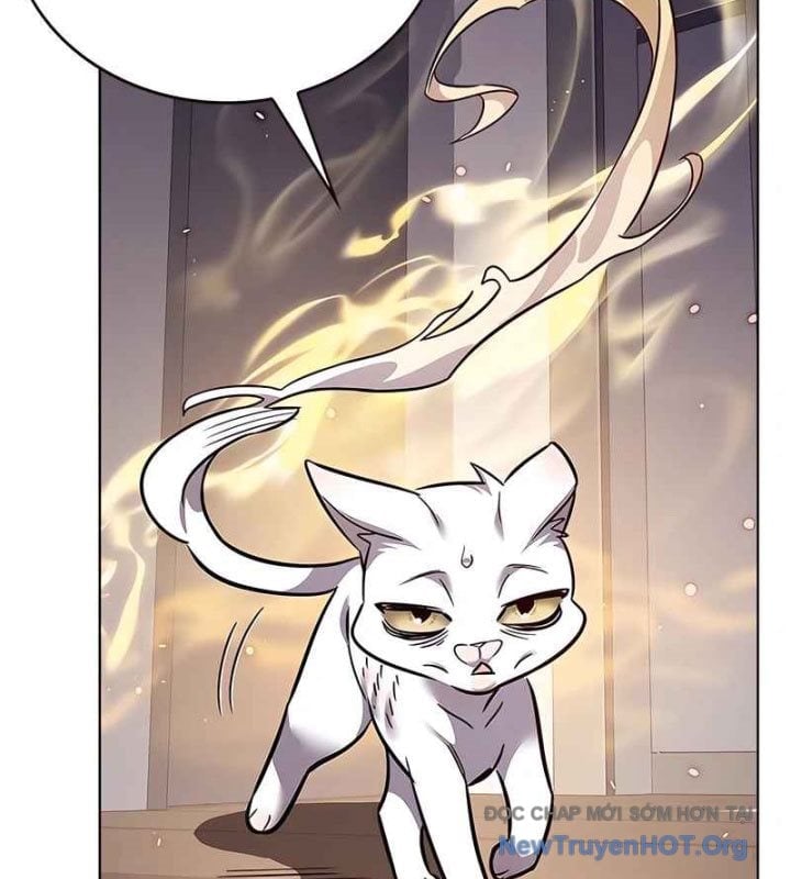 Hoá Thân Thành Mèo Chapter 370 - Next 
