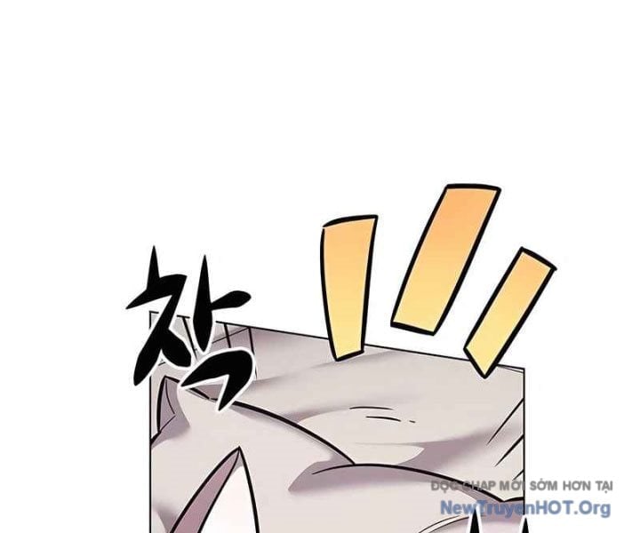 Hoá Thân Thành Mèo Chapter 370 - Next 