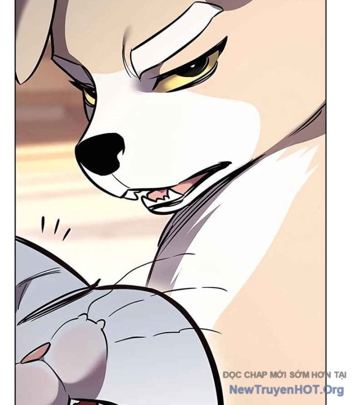 Hoá Thân Thành Mèo Chapter 370 - Next 