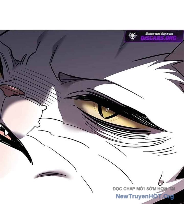Hoá Thân Thành Mèo Chapter 370 - Next 