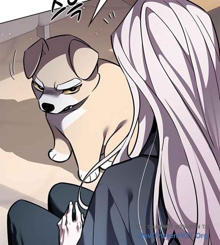 Hoá Thân Thành Mèo Chapter 370 - Next 