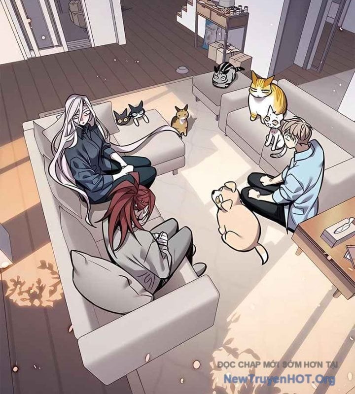 Hoá Thân Thành Mèo Chapter 370 - Next 