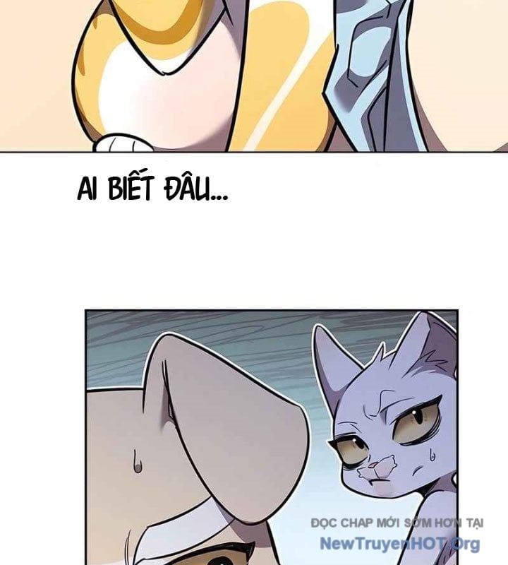 Hoá Thân Thành Mèo Chapter 370 - Next 