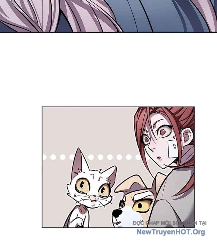 Hoá Thân Thành Mèo Chapter 370 - Next 