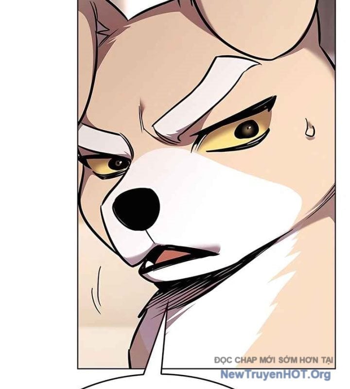 Hoá Thân Thành Mèo Chapter 370 - Next 
