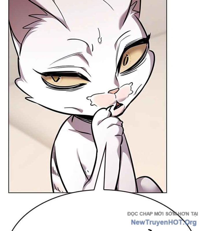 Hoá Thân Thành Mèo Chapter 370 - Next 